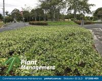 The Plant Management Company image 10